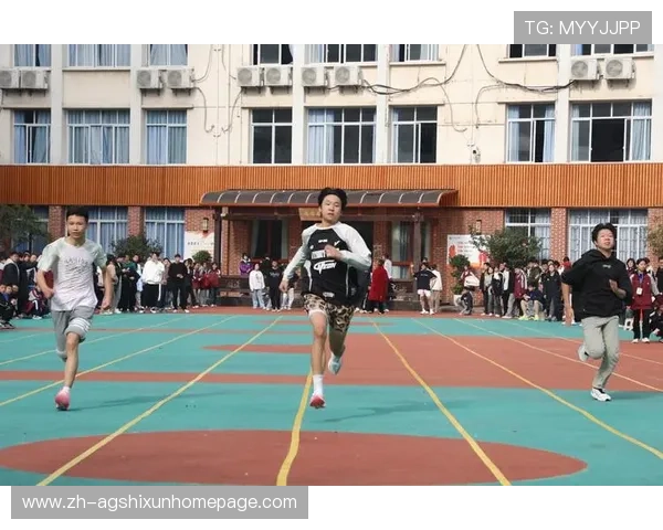 追求卓越的爱游戏真人体育娱乐，满足您的每一场竞技梦想