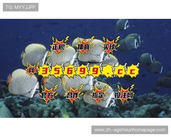 优质bg视讯厅首页导航,快速找到热门游戏专区与优惠活动,提升您的娱乐体验