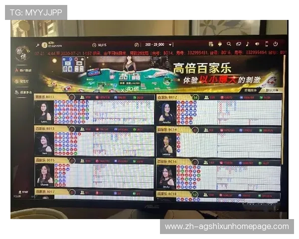 网络赌博百家乐合法性分析及其对玩家财产安全的影响全面解析如何避免陷入网络赌博百家乐的陷阱